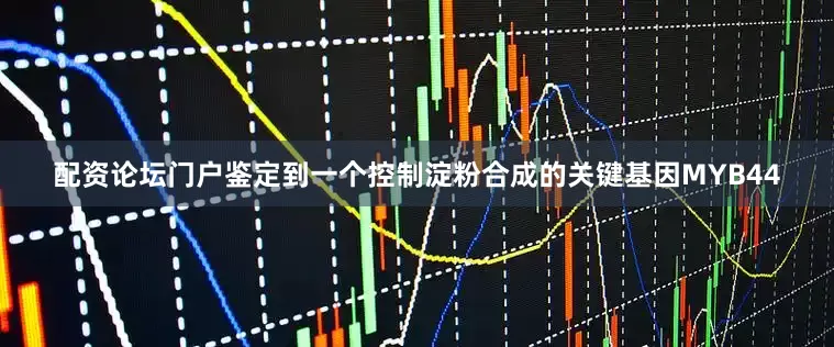 配资论坛门户鉴定到一个控制淀粉合成的关键基因MYB44