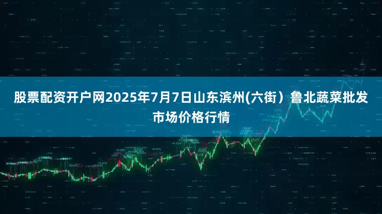 股票配资开户网2025年7月7日山东滨州(六街)鲁北蔬菜批发市场价格行情