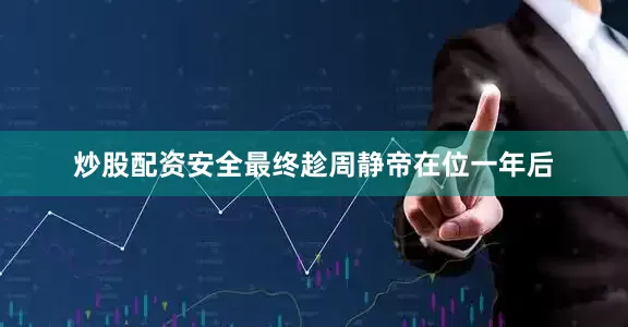 炒股配资安全最终趁周静帝在位一年后