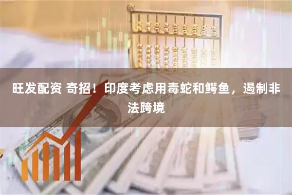 旺发配资 奇招！印度考虑用毒蛇和鳄鱼，遏制非法跨境