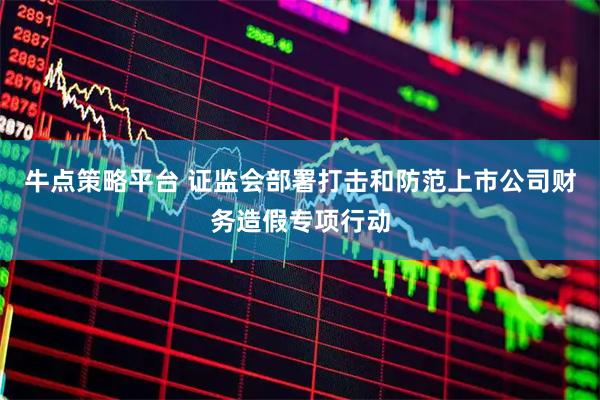 牛点策略平台 证监会部署打击和防范上市公司财务造假专项行动